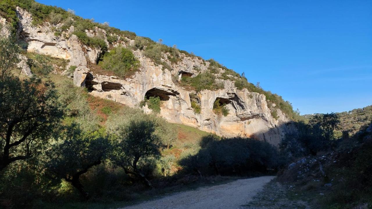 Casa Do Vale Vintem Ξενοδοχείο Condeixa-a-Nova Εξωτερικό φωτογραφία